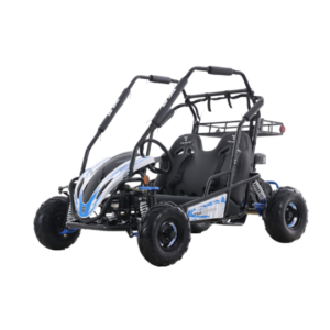 2025 Tao Motor Baja Sprinter 200 Go Kart, Powerful 4-Stroke Engine, Manual Pull Start & Adjustable Seat