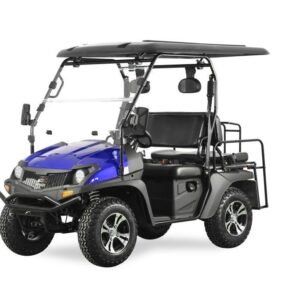 Trailmaster Taurus 200GX UTV/Golf Cart, Side-by-Side, Full-Length Roof, LED Hi/Lo Headlights, Digital Dashboard