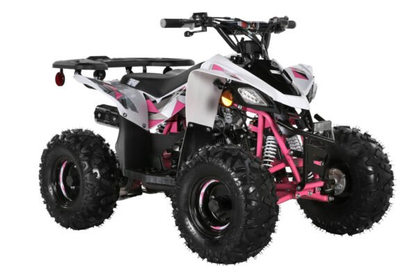 TrailMaster R125 120cc Youth ATV, Automatic Transmission with Reverse, Electric Start, LED Headlights, Color-Matched Suspension, Speed Limiter - Image 2