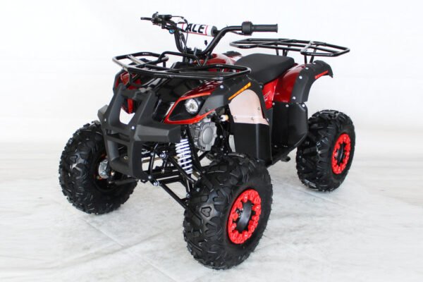 Trailmaster B125 107cc Youth ATV, Automatic Transmission with Reverse, 4-Stroke Single Cylinder, Air-Cooled, Electric Start, 8″ Wheels - Image 2