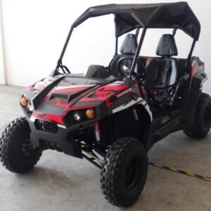 Trailmaster Challenger 300 EFI Side-by-Side UTV, Automatic CVT with Reverse, 4-Stroke, Single Cylinder, Water-Cooled, Electric Start