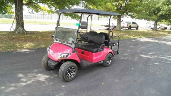 2018 Yamaha Drive2