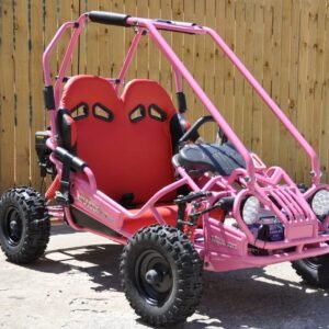 TrailMaster Mini XRX+ Go-Kart Buggy, High Back Seats, Adjustable for Younger Riders, Throttle Limiter, Remote Kill Switch (No Reverse)
